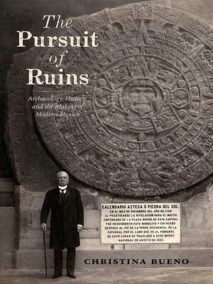 cover image of The Pursuit of Ruins